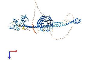 TRIM56 Protein (AA 1-755) (His tag)