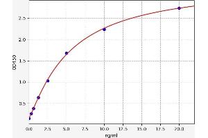 Typical standard curve (CCKAR ELISA Kit)
