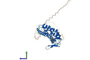 AlphaFold protein structure predicition of Mouse Recombinant Pacrgl Protein, UniprotID Q9D3X5