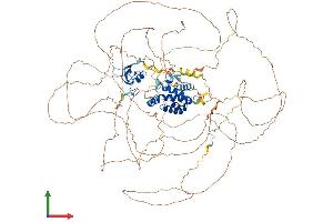 Protein Structure (PS) image for Topoisomerase I Binding, arginine/serine-Rich, E3 Ubiquitin Protein Ligase (TOPORS) (AA 1-1045) protein (His tag) (ABIN7555795)