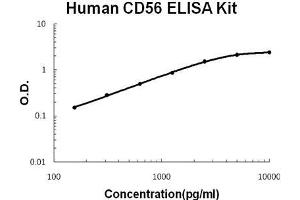 Human CD56/NCAM-1 PicoKine ELISA Kit standard curve (CD56 ELISA Kit)
