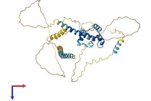 BSDC1 Protein (AA 1-430) (His tag)