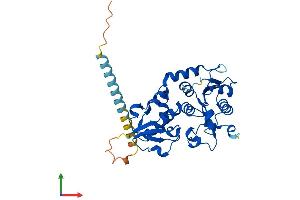Protein Structure (PS) image for Fucosyltransferase 2 (Secretor Status Included) (FUT2) (AA 1-347) protein (His tag) (ABIN7561664)
