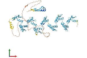 AlphaFold protein structure predicition of Human Recombinant ZNF761 Protein, UniprotID Q86XN6