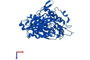 ACAA2 Protein (AA 1-397) (His tag)