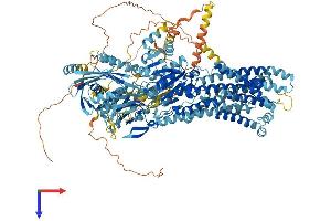 ATP8B3 Protein (AA 1-1300) (His tag)