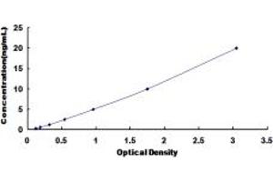 Typical standard curve (GRIN2B ELISA Kit)