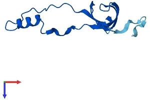 RPL36A Protein (AA 1-106) (His tag)