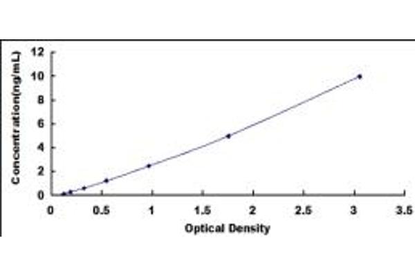 VIPR1 ELISA Kit