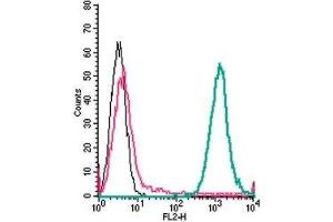 Flow Cytometry (FACS) image for anti-Pyrimidinergic Receptor P2Y, G-Protein Coupled, 6 (P2RY6) (AA 172-186), (Extracellular) antibody (PE) (ABIN7043593)