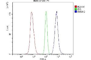 Flow Cytometry analysis of Raji cells using anti-HMGN2 antibody (ABIN6719576).