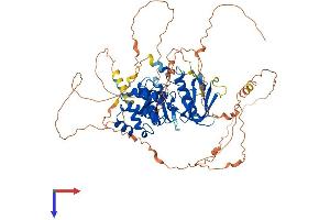 FRMD7 Protein (AA 1-714) (His tag)