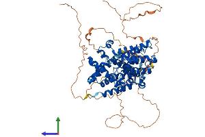 AlphaFold protein structure predicition of Mouse Recombinant Pde4c Protein, UniprotID Q3UEI1
