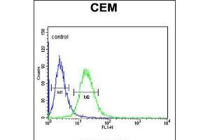 Flow cytometric analysis of CEM cells (right histogram) compared to a negative control cell (left histogram). (GABRA4 Antikörper  (AA 350-377))