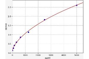 ADAMTS18 ELISA Kit