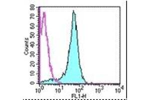 Image no. 1 for anti-CD2 (CD2) antibody (FITC) (ABIN475150) (CD2 Antikörper  (FITC))