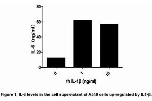 Image no. 2 for Interleukin 1, beta (IL1B) (AA 117-269) (Active) protein (His tag) (ABIN6239741)