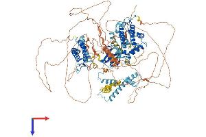 BAT3 Protein (AA 1-1132) (His tag)