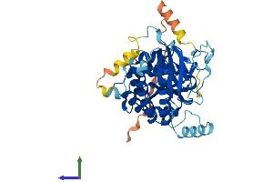 Protein Structure (PS) image for Phosphatidylinositol-4-Phosphate 5-Kinase-Like 1 (PIP5KL1) (AA 1-394) protein (His tag) (ABIN7550756)