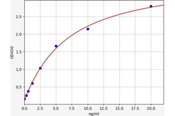 ZNF335 ELISA Kit