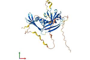 AlphaFold protein structure predicition of Human Recombinant C11orf42 Protein, UniprotID Q8N5U0