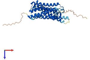 Peropsin (RRH) (AA 1-337) protein (His tag)