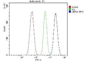 Flow Cytometry analysis of U87 cells using anti-UBE3A antibody (ABIN7599563).