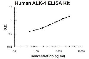 ACVRL1 ELISA 试剂盒