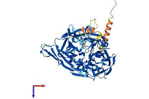 BCMO1 Protein (AA 1-547) (His tag)