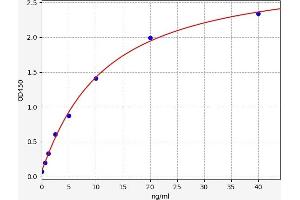 Tumor Necrosis Factor-Inducible Protein 6 (TNFAIP6) ELISA Kit