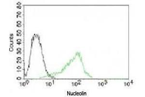Flow cytometry testing of human 293 cells and  Alexa Fluor 488-labeled Nucleolin antibody (green). (Nucleolin Antikörper)