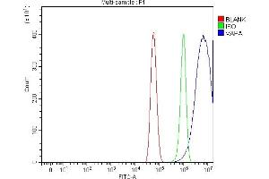 Flow Cytometry analysis of U87 cells using anti-VAPA antibody (ABIN7603249). (VAPA Antikörper  (N-Term))