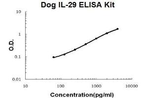 Dog IL-29 PicoKine ELISA Kit standard curve (IL29 ELISA Kit)