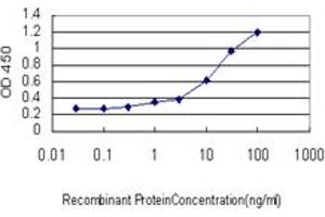 Detection limit for recombinant GST tagged ASCL1 is approximately 1ng/ml as a capture antibody. (ASCL1 Antikörper  (AA 137-236))