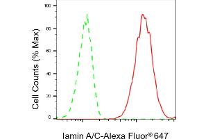 Flow cytometric analysis of Iamin A/C expression in C2C12 cells using Iamin A/C antibody (ABIN7799229), 1:2,000). (Rekombinanter Lamin A/C Antikörper)
