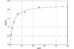 A typical standard curve