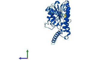Protein Structure (PS) image for Hydroxysteroid (17-Beta) Dehydrogenase 12 (HSD17B12) (AA 1-312) protein (His tag) (ABIN7562558)