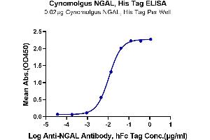 ELISA image for Lipocalin 2 (LCN2) (AA 21-198) protein (His tag) (ABIN7275319)