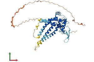 Protein Structure (PS) image for Mitochondrial Carrier 1 (MTCH1) (AA 1-389) protein (His tag) (ABIN7549532)