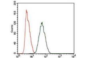 Flow cytometric analysis of HeLa cells using PIWIL4 mouse mAb (green) and negative control (purple). (PIWIL4 Antikörper  (AA 304-434))