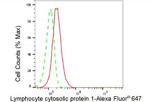 Flow cytometric analysis of Lymphocyte cytosolic protein 1 expression in HT- cells using Lymphocyte cytosolic protein 1 antibody (ABIN7799292), 1:2,000). (Rekombinanter LCP1 Antikörper)