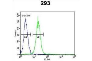 Flow Cytometry (FACS) image for anti-Potassium Voltage-Gated Channel, KQT-Like Subfamily, Member 1 (KCNQ1) antibody (ABIN3003976)
