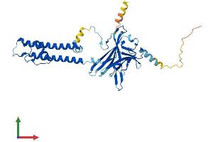 Protein Structure (PS) image for Potassium Inwardly-Rectifying Channel, Subfamily J, Member 1 (KCNJ1) (AA 1-372) protein (His tag) (ABIN7562593)