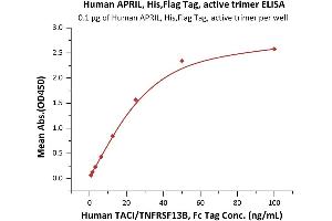 ELISA image for Tumor Necrosis Factor (Ligand) Superfamily, Member 13 (TNFSF13) (AA 111-250) (Active) protein (His tag,DYKDDDDK Tag) (ABIN7013494)