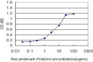 Detection limit for recombinant GST tagged STAT5B is approximately 0. (STAT5B Antikörper  (AA 1-390))