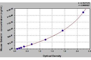 Gelsolin ELISA Kit