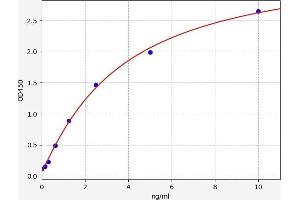 MAGEC1 ELISA Kit