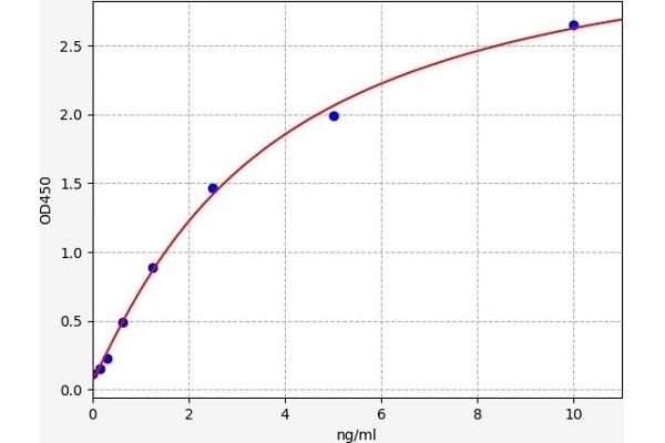 MAGEC1 ELISA Kit