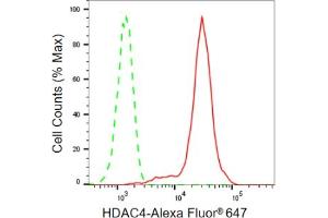 Flow cytometric analysis of HDAC4 expression in HepG2 cells using HDAC4 antibody (ABIN7798933), 1:2,000). (Rekombinanter HDAC4 Antikörper)