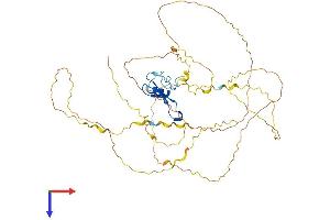 MECP2 Protein (AA 1-484) (His tag)